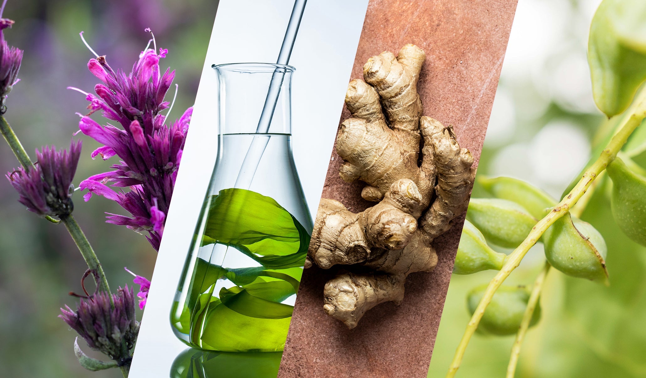 The Force of Nature Fueled by Accelerated Skin Science