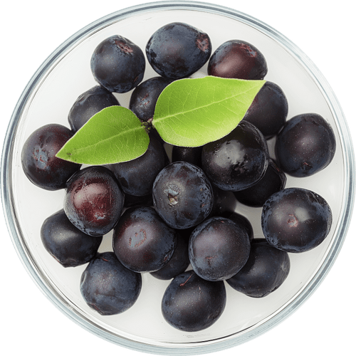 Maqui Fruit Extract