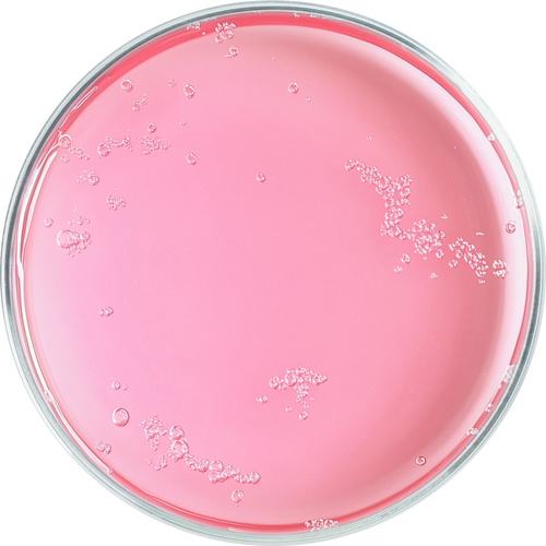 Ceramides
