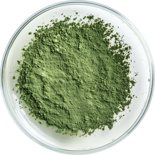Chlorella Vulgaris Extract