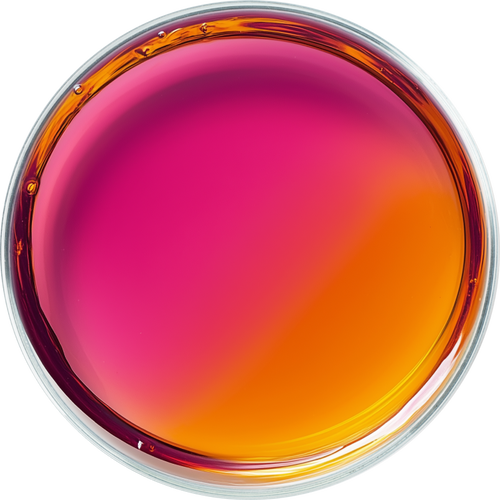 Mauritia Flexuosa Fruit Oil