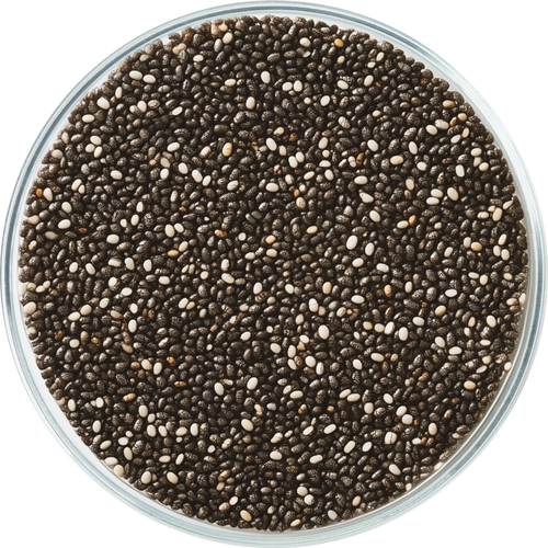 Salvia Hispanica Extract
