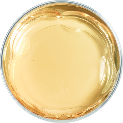 Sodium Retinoyl Hyaluronate