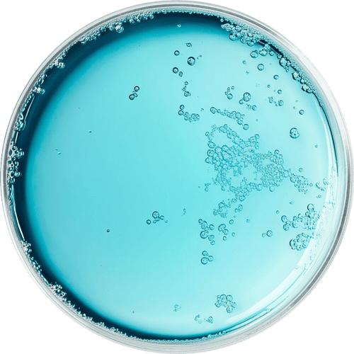 Hypochlorous Acid