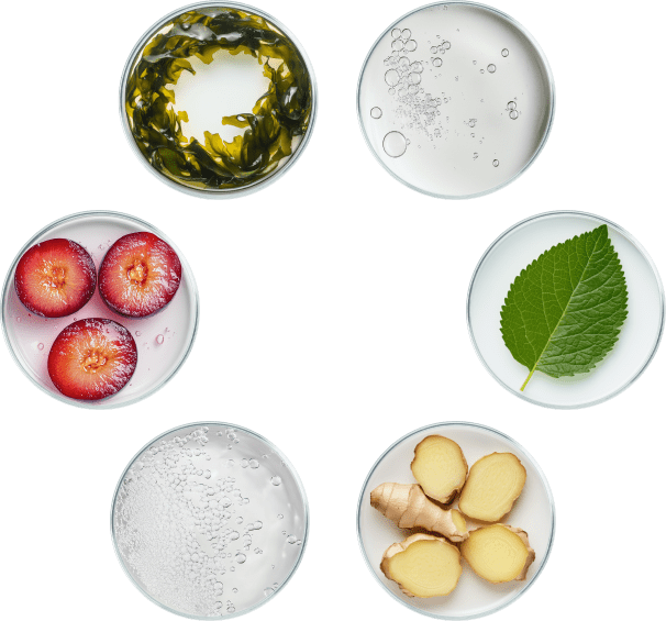 Ingredients circle