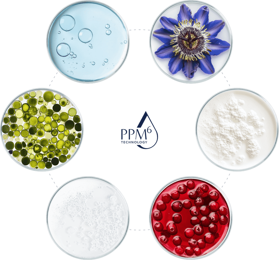 Ingredients circle