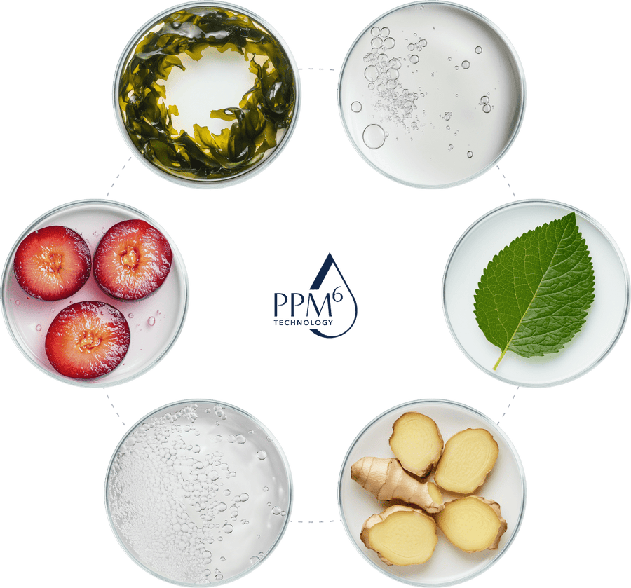 Ingredients circle